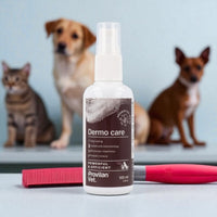 Provilan Probiotische Wondverzorging voor Hond & Kat – Natuurlijk Huidherstel Zonder Alcohol of Antibiotica (100 ml)