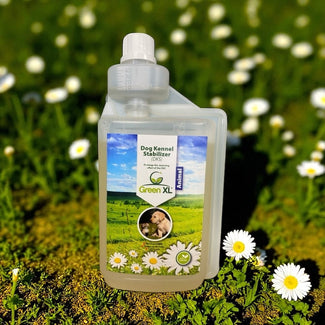 GreenXL Kennel Stabilizer – Probiotische Microbioomverzorging voor Hondenverblijven (1L)