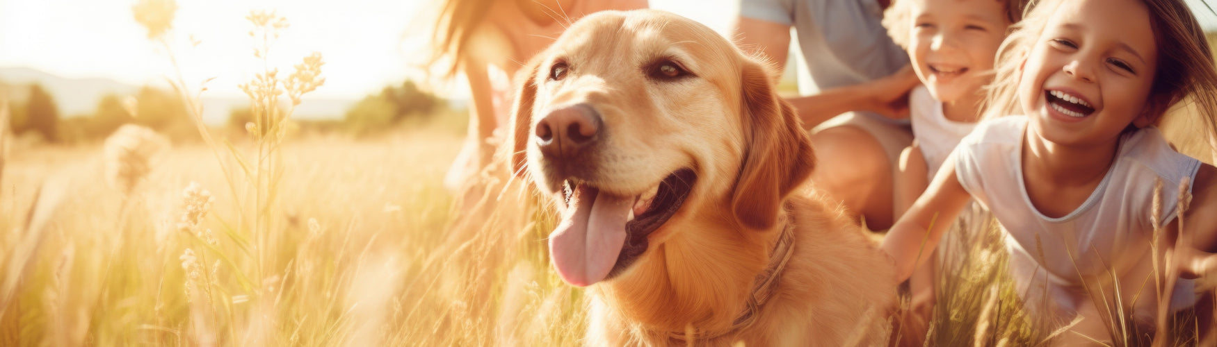  De veiligheid van probiotisch reinigen: 
