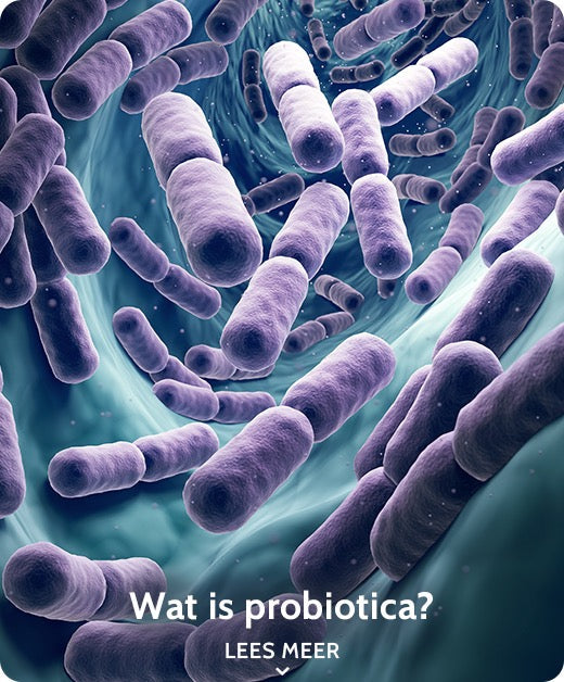 Wat is probiotica