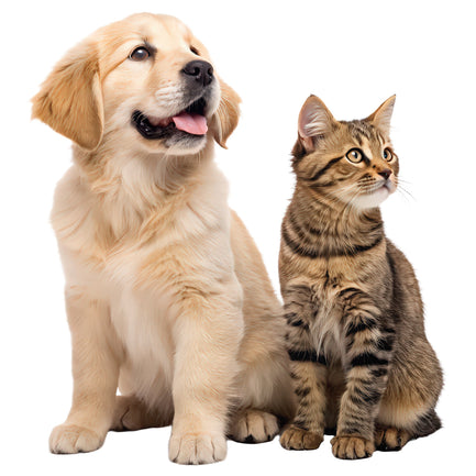 probiotische verzorging producten hond & kat