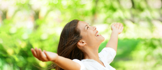 Provilan Air Optimizer