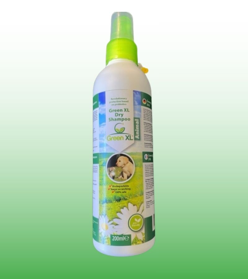 Droogshampoo voor honden – probiotische vachtreiniging zonder water