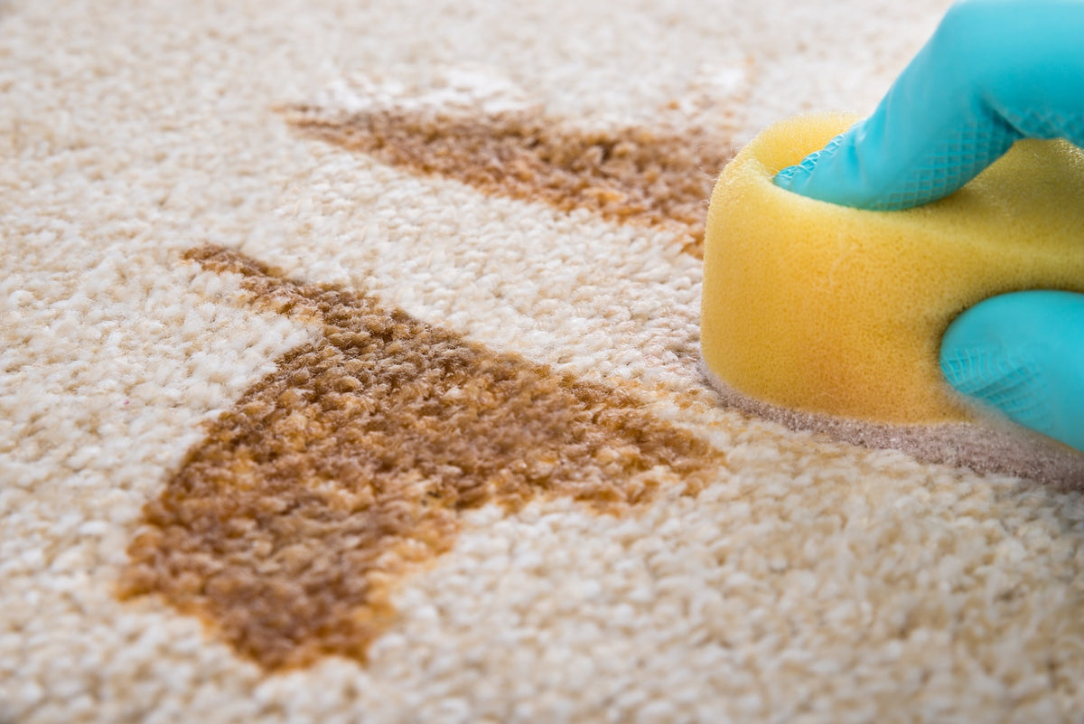 Perilis carpet shampoo