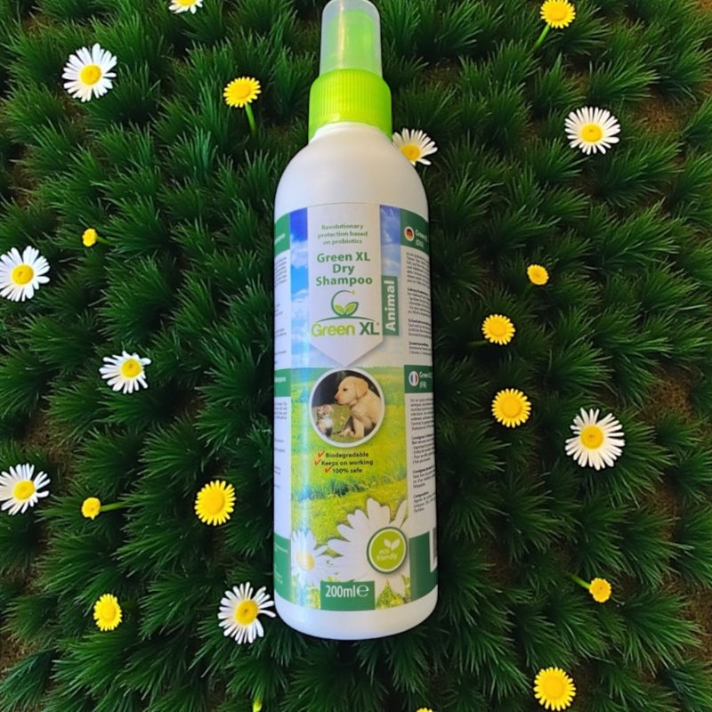 GreenXL Droogshampoo voor Honden – Probiotische Vachtreiniging Zonder Water of Spoelen (200 ml)