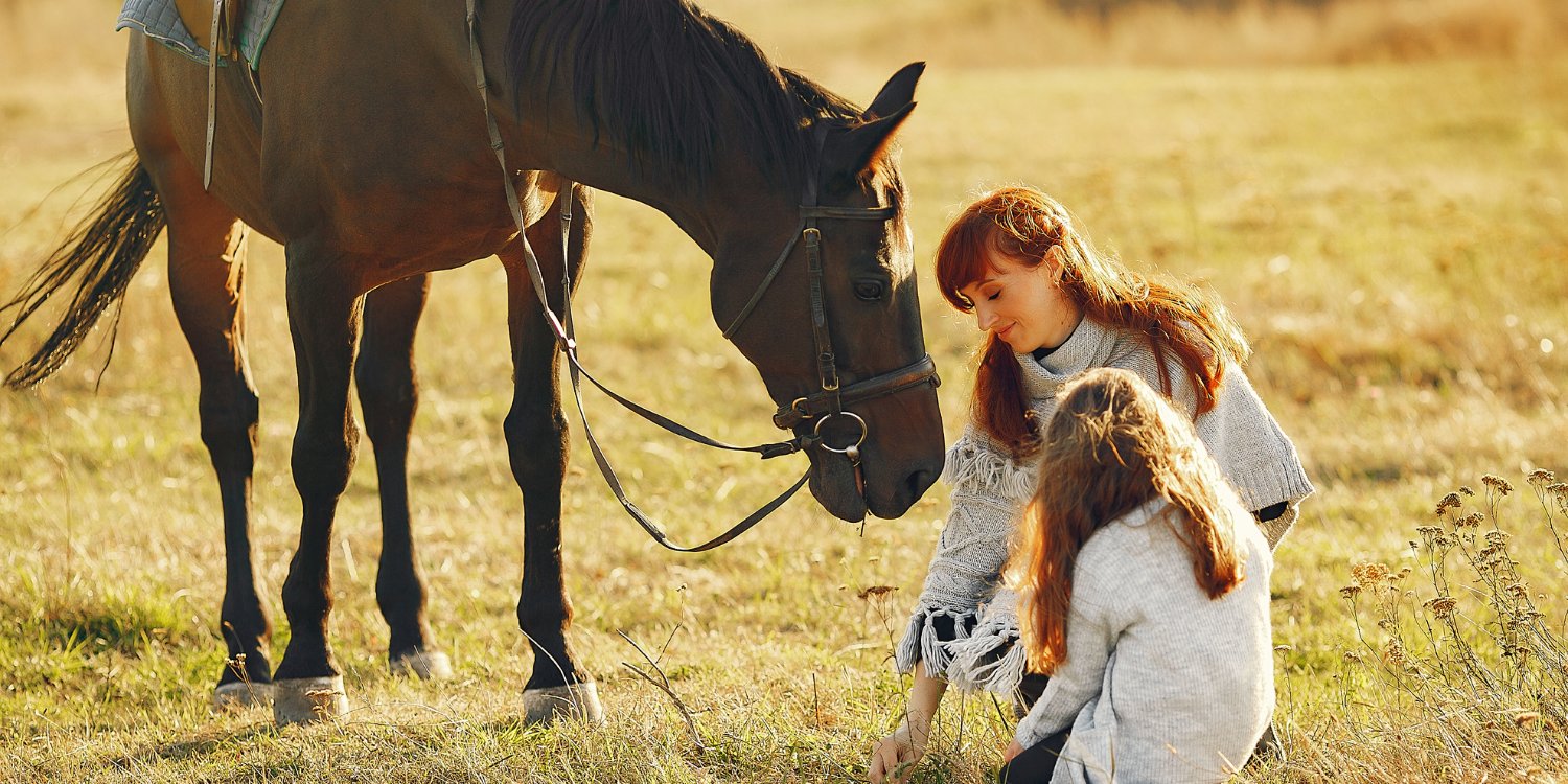 probiotische schoonmaak producten