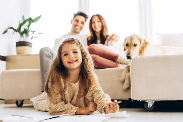 Probiotische interieur reiniger - Provilan Surface Cleaner